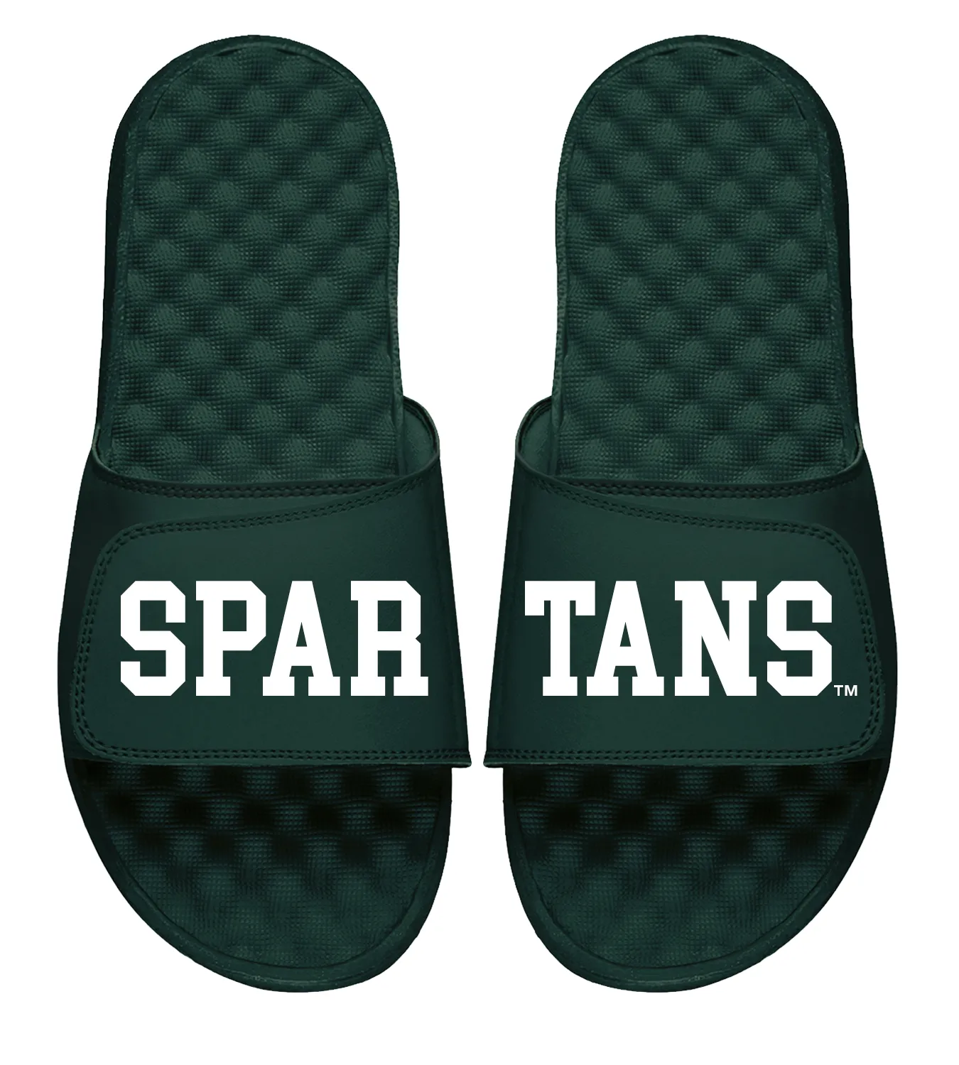 Michigan State Spartans Split Slides