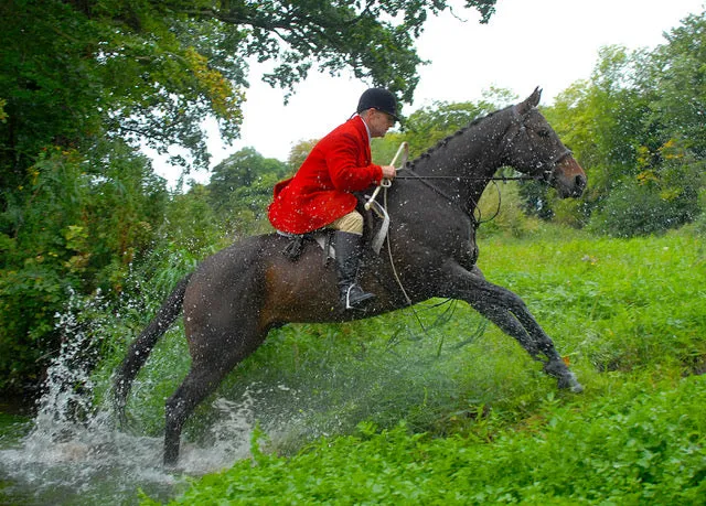 PC Racewear Water Resistant Hunting Breeches - Unisex